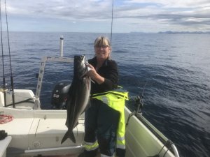 IMG_7222.JPG IMG_7222.JPG