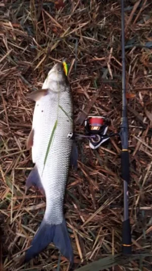 IMG-20190927-WA0001.webp IMG-20190927-WA0001.webp