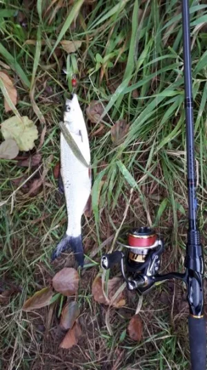 IMG-20190929-WA0000.webp IMG-20190929-WA0000.webp