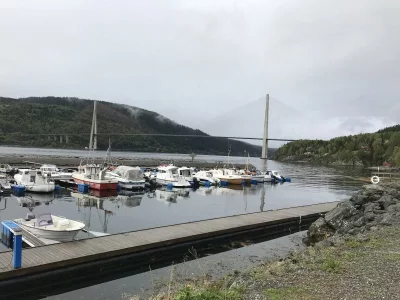 upload_2019-10-1_16-43-15.webp upload_2019-10-1_16-43-15.webp