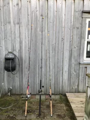 upload_2019-10-2_11-53-58.webp upload_2019-10-2_11-53-58.webp