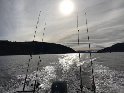 upload_2019-10-4_11-49-58.webp upload_2019-10-4_11-49-58.webp