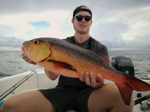 9b63a82e-62f9-4e33-888d-097c1c3887c1.jpg 9b63a82e-62f9-4e33-888d-097c1c3887c1.jpg