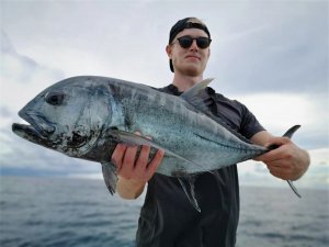 ceedbf85-d77c-4446-986b-3b02c4b8f45c.jpg ceedbf85-d77c-4446-986b-3b02c4b8f45c.jpg