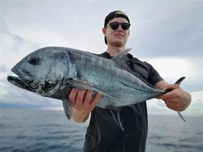 ceedbf85-d77c-4446-986b-3b02c4b8f45c.webp ceedbf85-d77c-4446-986b-3b02c4b8f45c.webp