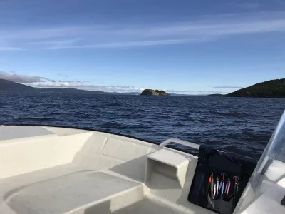 upload_2019-10-4_12-56-29.webp upload_2019-10-4_12-56-29.webp