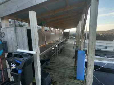 upload_2019-10-4_13-34-59.webp upload_2019-10-4_13-34-59.webp