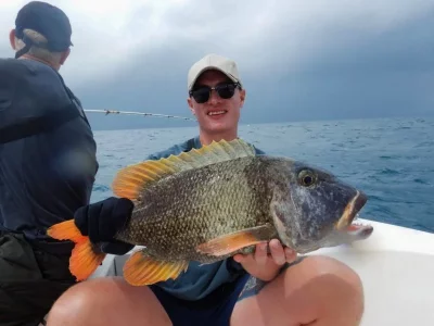 WhatsApp Image 2019-10-05 at 17.08.21(1).webp WhatsApp Image 2019-10-05 at 17.08.21(1).webp