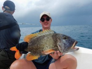 WhatsApp Image 2019-10-05 at 17.08.21(1).jpeg WhatsApp Image 2019-10-05 at 17.08.21(1).jpeg