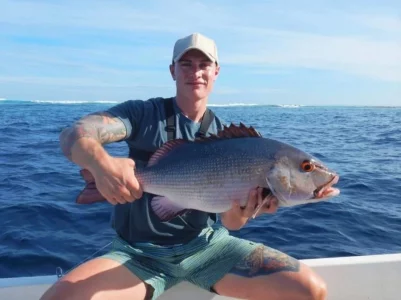 WhatsApp Image 2019-10-05 at 17.08.22(1).webp WhatsApp Image 2019-10-05 at 17.08.22(1).webp