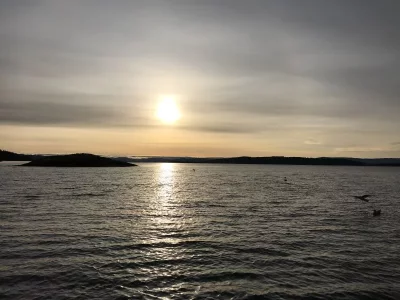 upload_2019-10-8_11-12-10.webp upload_2019-10-8_11-12-10.webp