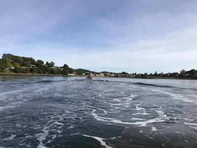 upload_2019-10-8_12-33-0.webp upload_2019-10-8_12-33-0.webp