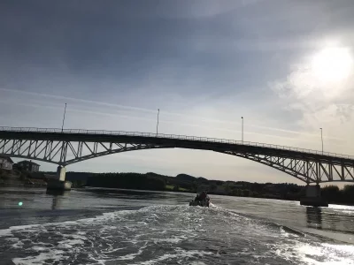 upload_2019-10-8_12-35-29.webp upload_2019-10-8_12-35-29.webp