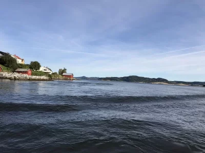 upload_2019-10-8_12-36-13.webp upload_2019-10-8_12-36-13.webp