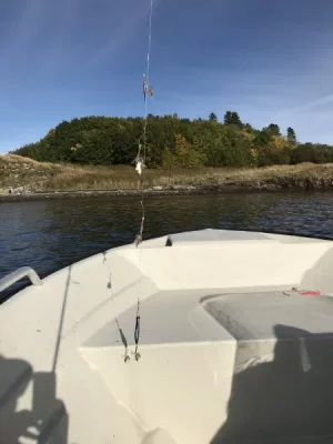 upload_2019-10-8_12-56-55.webp upload_2019-10-8_12-56-55.webp