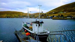 EFFECTS.jpg EFFECTS.jpg