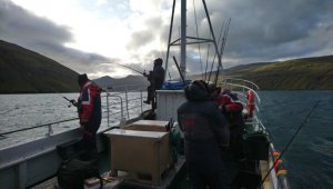 DSC_0695.JPG DSC_0695.JPG