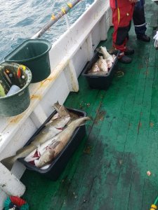 20191004_133926.jpg 20191004_133926.jpg