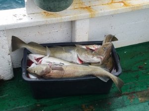 20191004_133951.jpg 20191004_133951.jpg