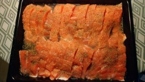 DSC_0758.JPG DSC_0758.JPG