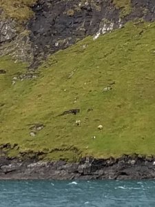 20191009_123320.jpg 20191009_123320.jpg