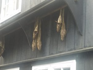 20191005_161243.jpg 20191005_161243.jpg