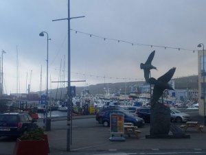 20191005_165349.jpg 20191005_165349.jpg