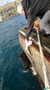 DSC_0748.JPG DSC_0748.JPG