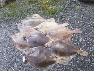 20191006_160811.jpg 20191006_160811.jpg