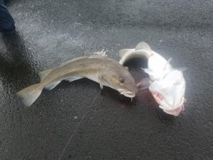 20191006_122349.jpg 20191006_122349.jpg