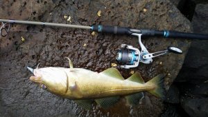 DSC_0762.JPG DSC_0762.JPG