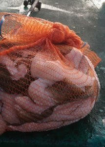 fischsack.jpg fischsack.jpg