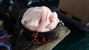 DSC_0729.JPG DSC_0729.JPG