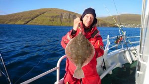 DSC_0733.JPG DSC_0733.JPG