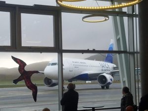 20191007_175601.jpg 20191007_175601.jpg