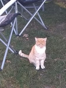 IMG_20181013_094105098 (1).jpg