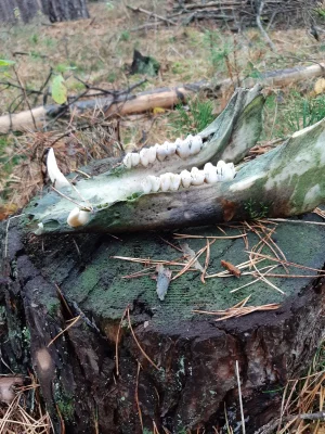 IMG-20191019-WA0000.webp IMG-20191019-WA0000.webp