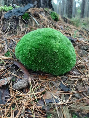 IMG-20191019-WA0001.webp IMG-20191019-WA0001.webp