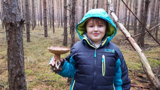 IMG-20191019-WA0003.webp IMG-20191019-WA0003.webp