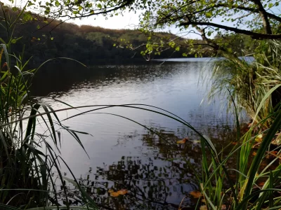 20191019_140414.webp 20191019_140414.webp