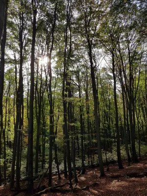 20191019_134651.webp 20191019_134651.webp