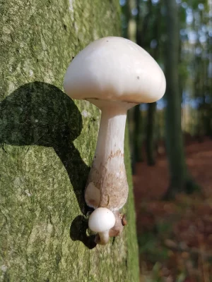 20191019_141040.webp 20191019_141040.webp