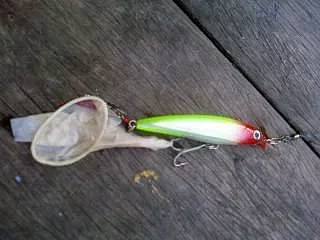 diese Umweltverschmutzung.webp