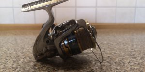 IMG_20191024_110433.jpg IMG_20191024_110433.jpg