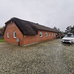 IMG_20191026_132505.jpg IMG_20191026_132505.jpg