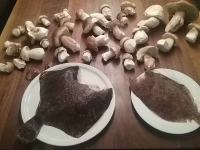 20191027_142224.webp 20191027_142224.webp