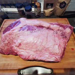 IMG_20191027_074202.jpg IMG_20191027_074202.jpg