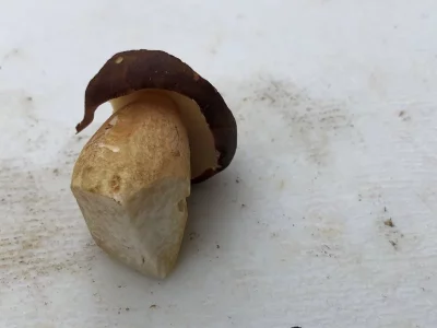 5E6E0680-15A8-4DFC-84EB-55F7F7638DE0.jpeg 5E6E0680-15A8-4DFC-84EB-55F7F7638DE0.jpeg