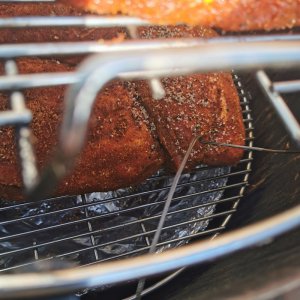 IMG_20191027_110336.jpg IMG_20191027_110336.jpg