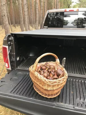 1572244692267.webp 1572244692267.webp